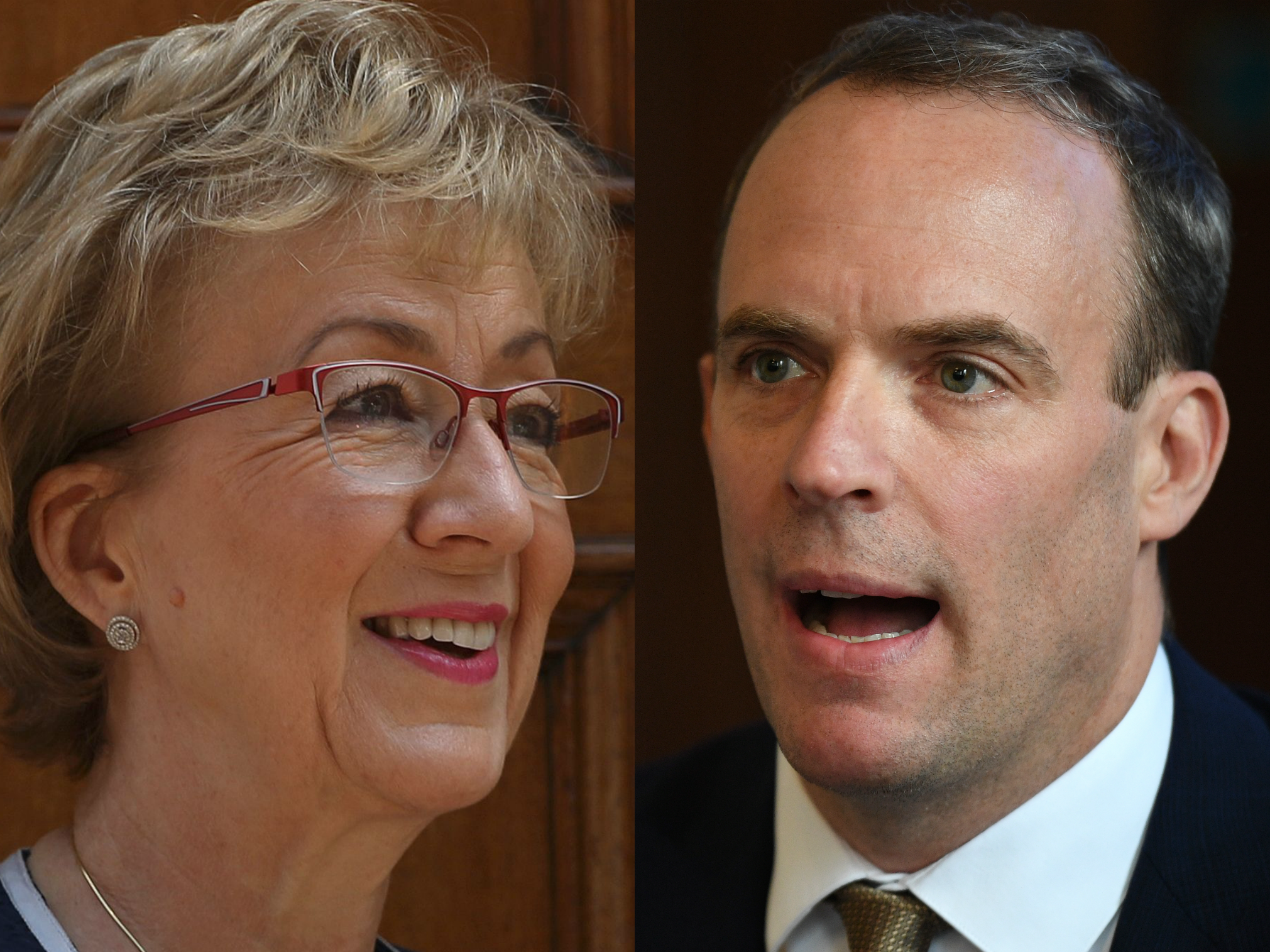 Image result for dominic raab andrea leadsom