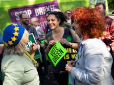 Green Party beats Tories into fifth as ‘wave’ of support sweeps EU