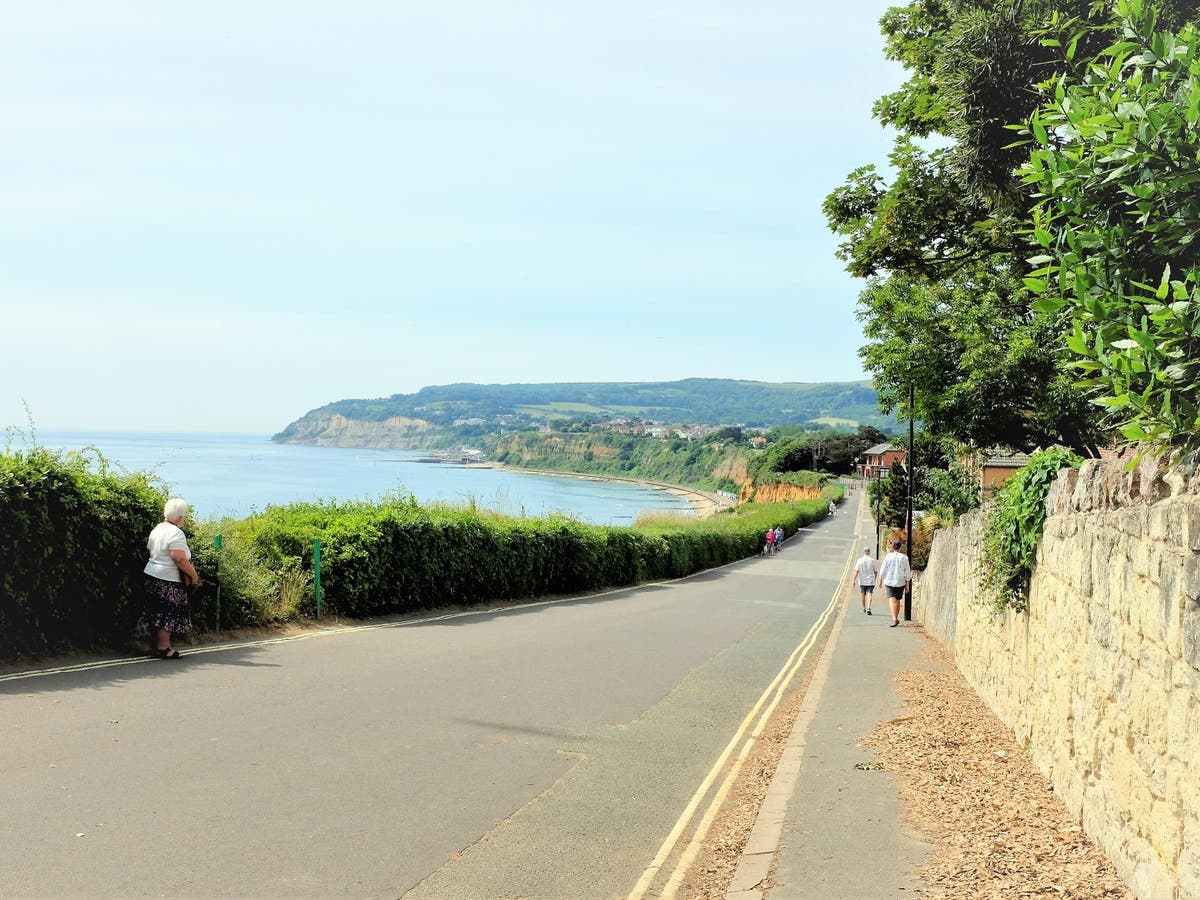 Isle of Wight murder: Man arrested after 70-year-old found dead in woods