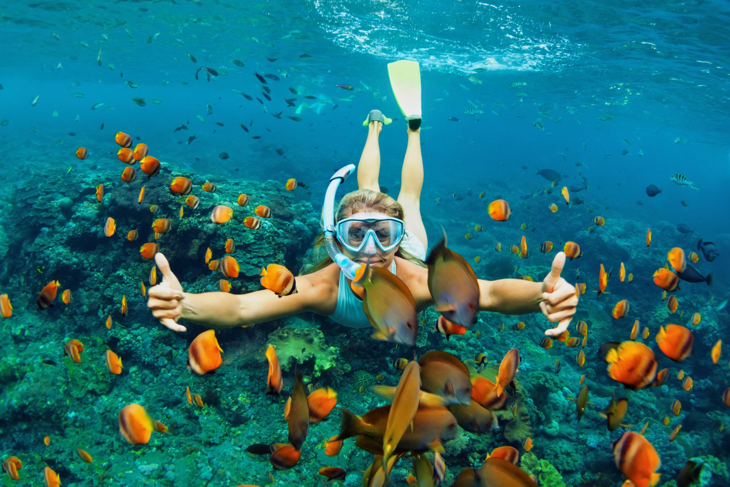 Experience some of the world’s best snorkelling in Belize