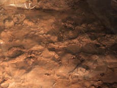14,000-year-old footprints provide glimpse of Stone Age family day out