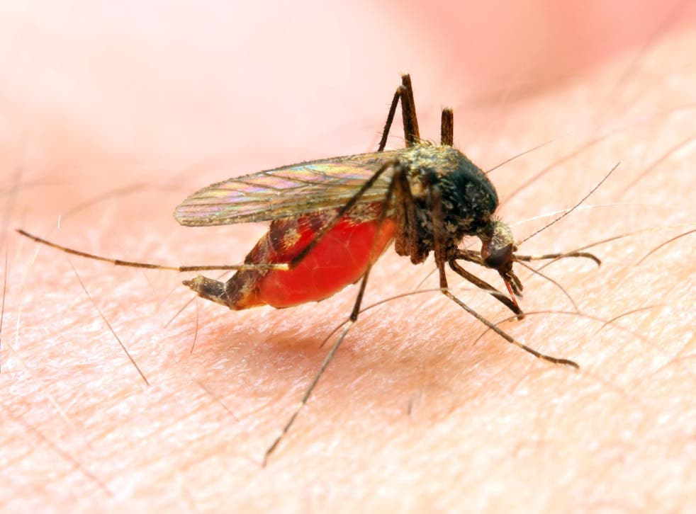 Half a million people die of malaria each year so what are the risks if we do nothing?