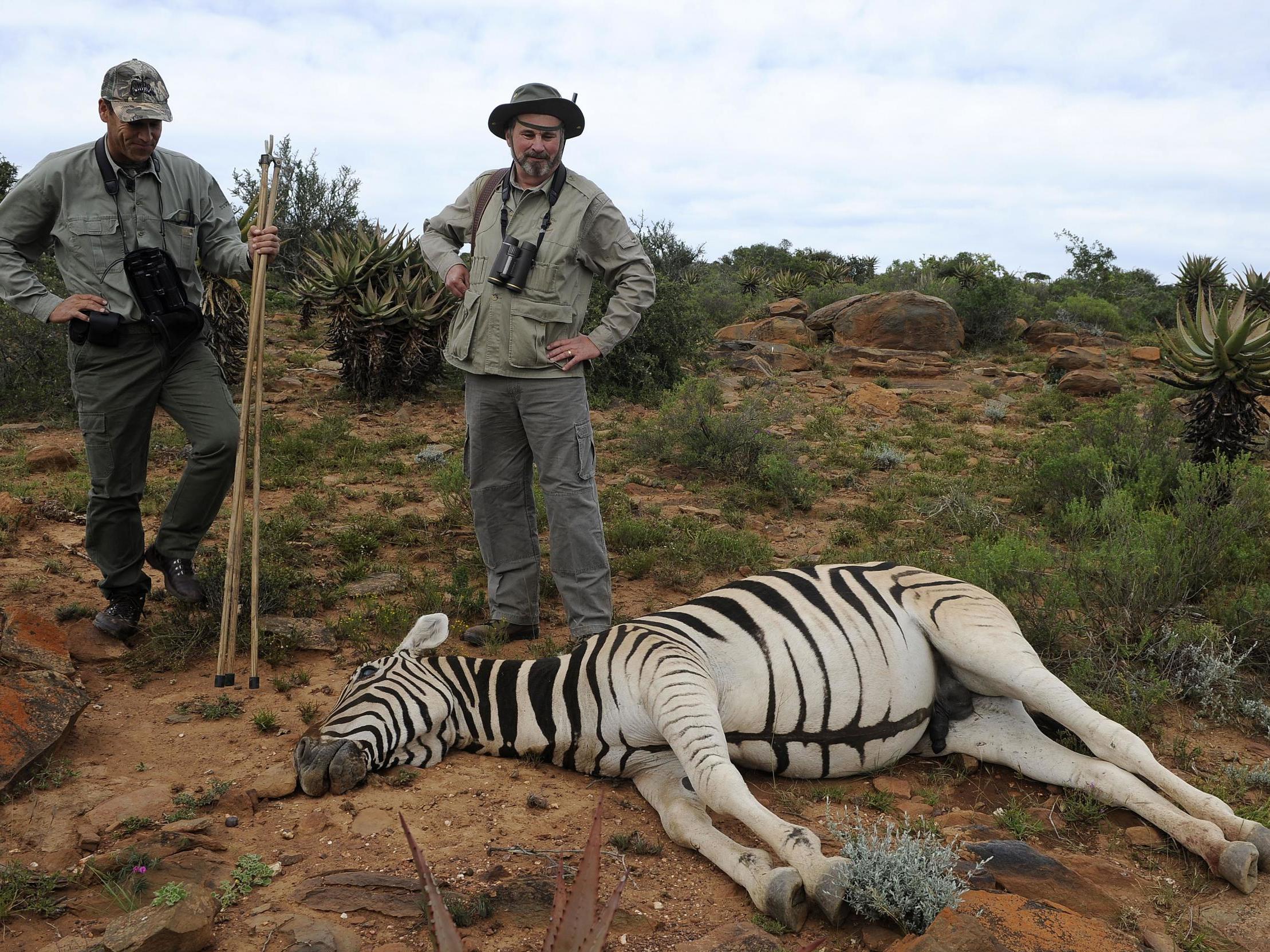 Trophy hunters, often from the US, pay large sums of money to shoot wildlife in Africa