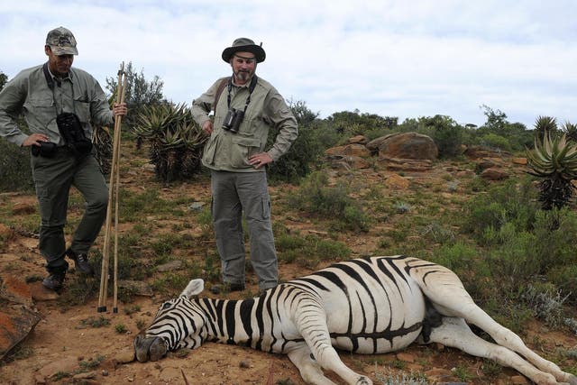 Trophy hunters, often from the US, pay large sums of money to shoot wildlife in Africa