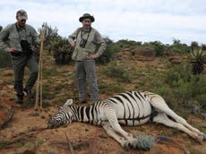 Hunting group ‘undermining protections for endangered animals’ 