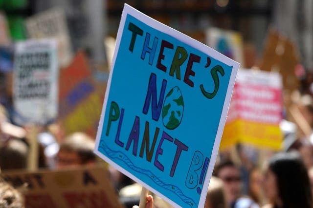Young demonstrators take part in a global climate protest in London last month