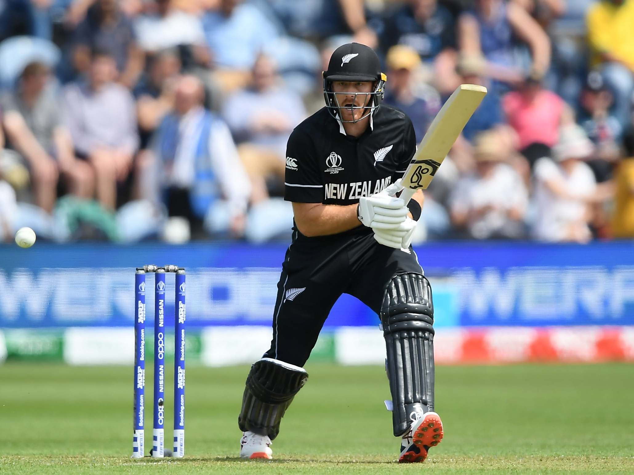 Martin Guptill steers New Zealand to victory with a 73 not out