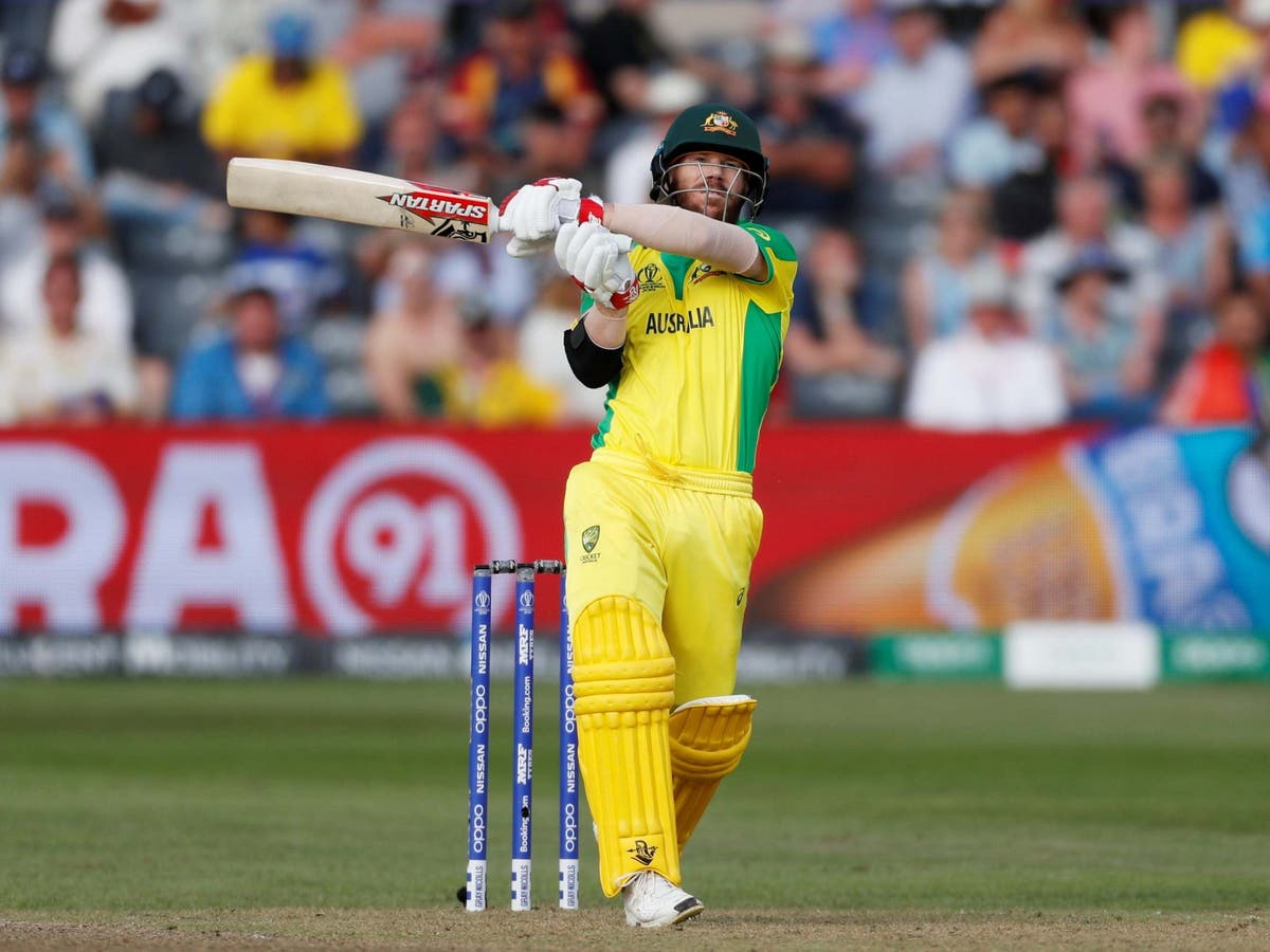 Cricket World Cup 2019: English crowds 'stupid' to jeer Australia's ...