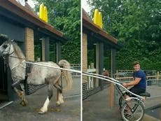 Horse tries to get served in McDonald's, defecates and leaves