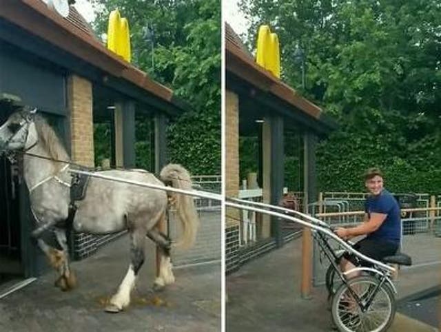 Horse enters a McDonald's in Staines