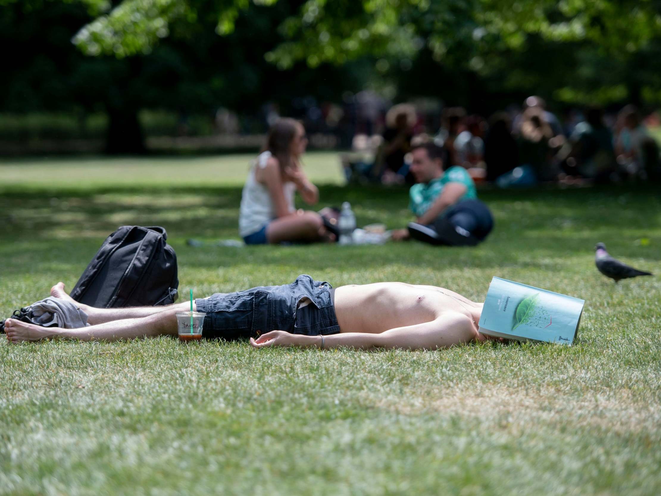 A sunbather in St James's Park in London as the weekend became the warmest of the year so far