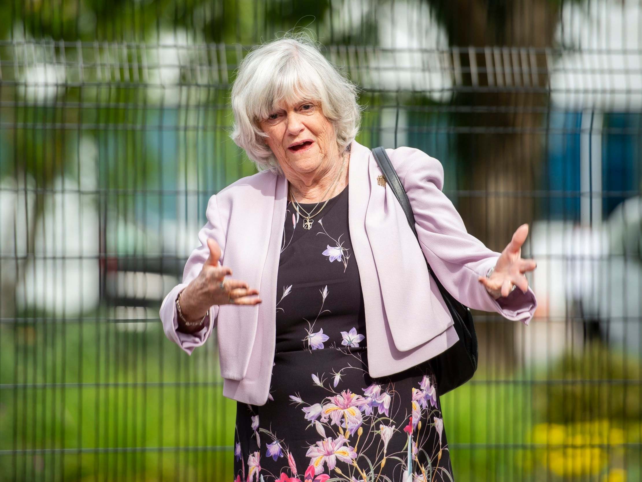 Brexit Party MEP Ann Widdecombe made the comments during an interview on Sky's Sophy Ridge on Sunday