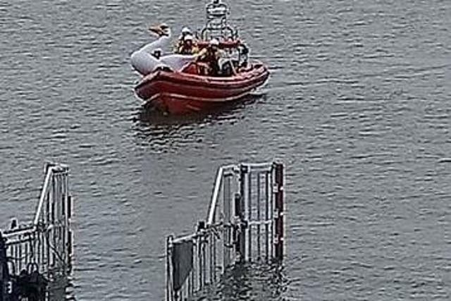The children were safely brought back to shore - with the inflatable swan