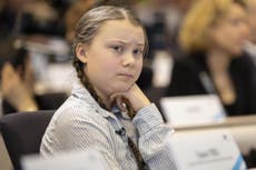 Greta Thunberg doesn’t consider herself to be a ‘celebrity or icon’