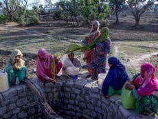 India heatwave kills ‘dozens’ of people as temperatures hit 50C