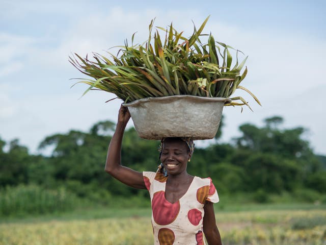 Women and young people in Africa are becoming farmers to prevent their country from relying totally on foreign imports