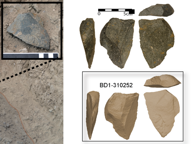 The tools (selection, pictured) were found near the oldest fossil attributed to the genus Homo