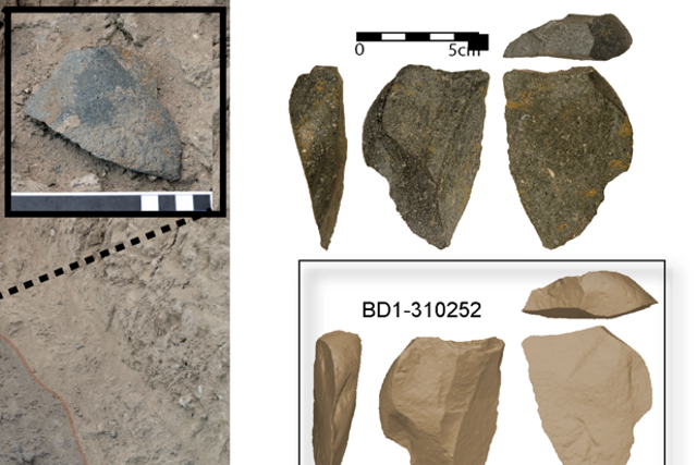 The tools (selection, pictured) were found near the oldest fossil attributed to the genus Homo