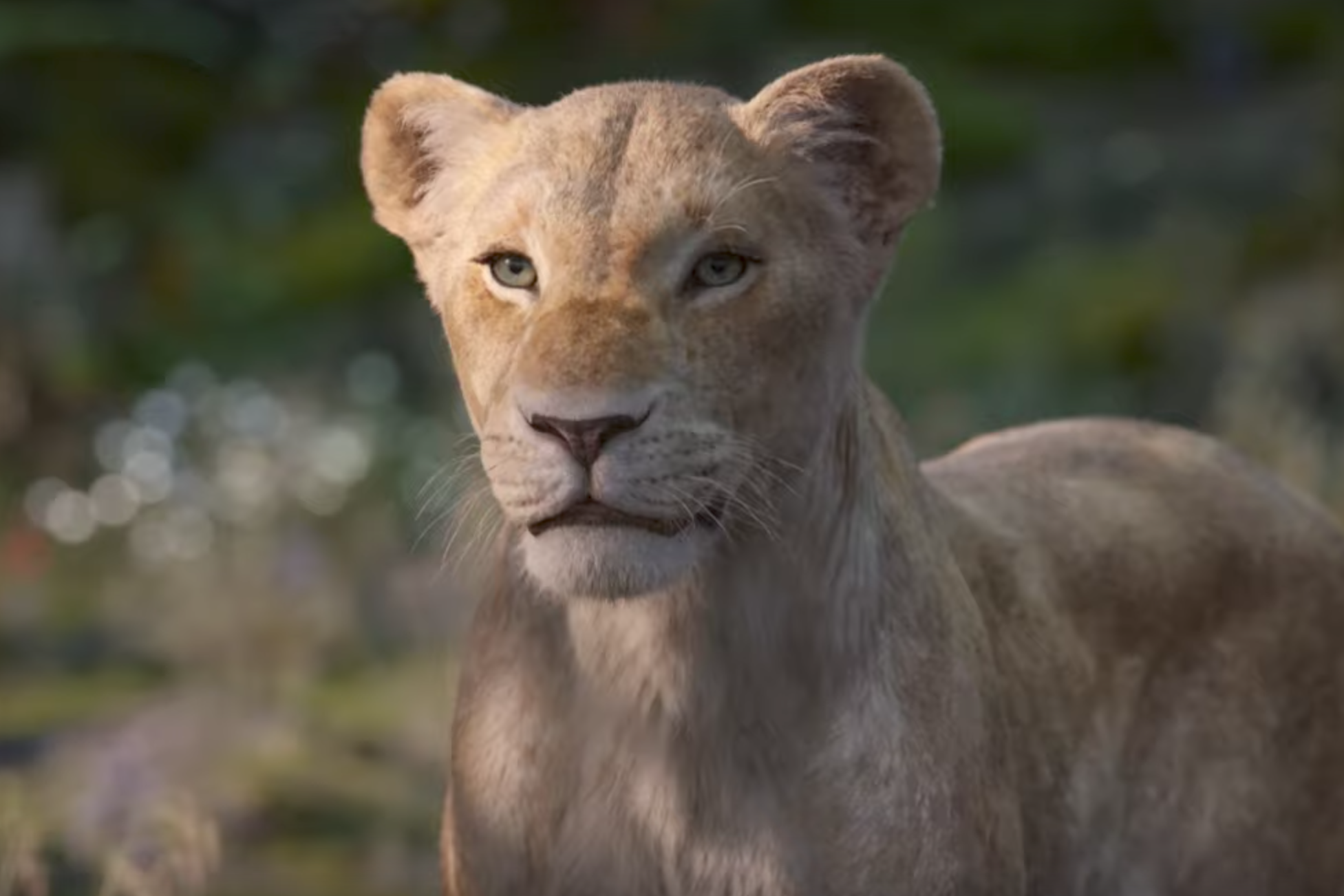 lion-king-trailer-beyonc-voices-nala-in-new-clip-from-disney-live