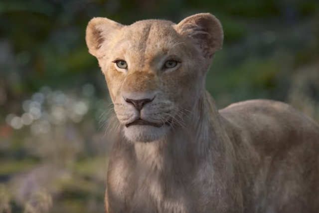Nala, voiced by Beyoncé, in the upcoming Lion King remake
