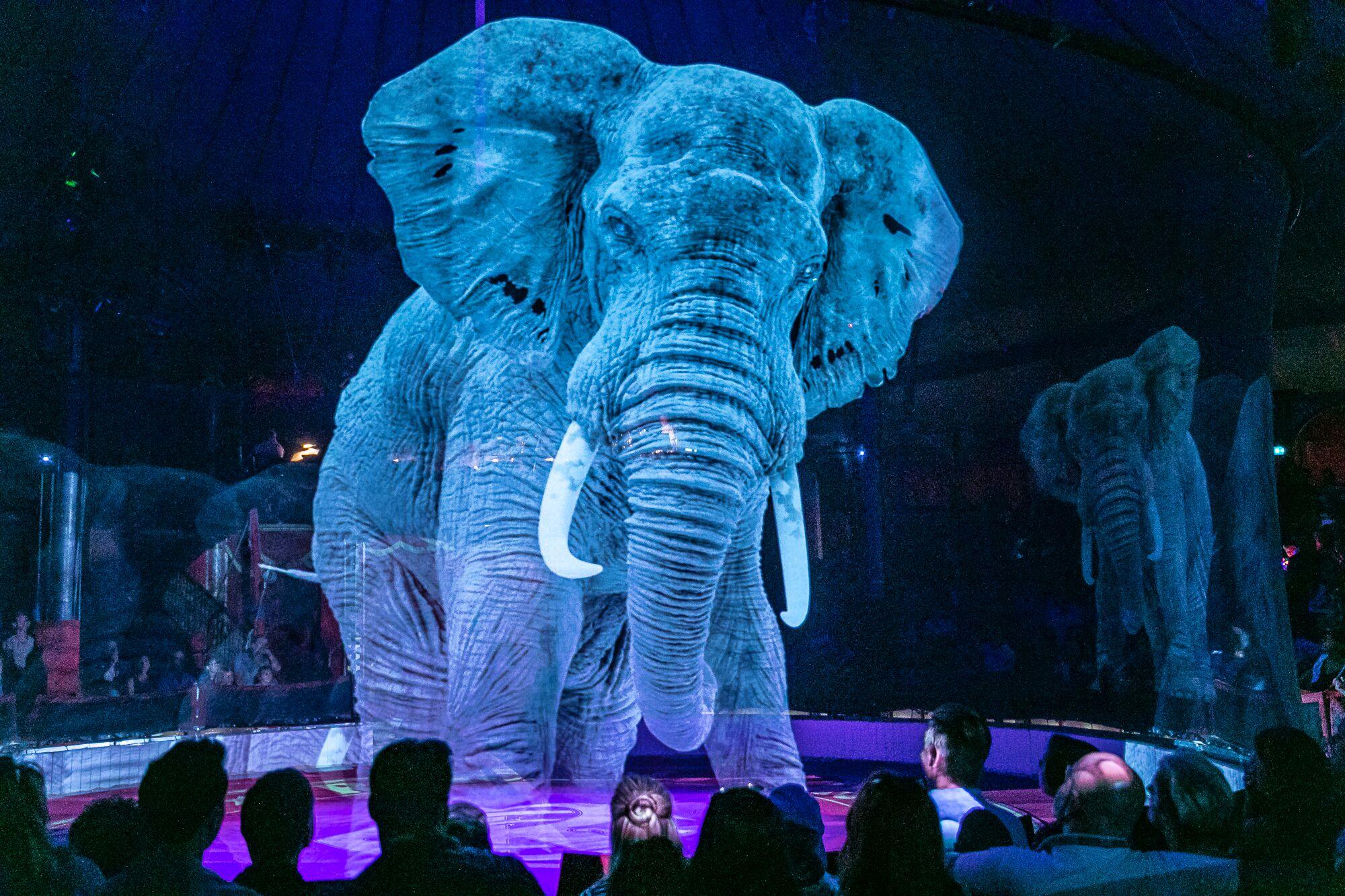 Tanpa menyiksa hewan, sirkus di Jerman ini gunakan teknologi hologram