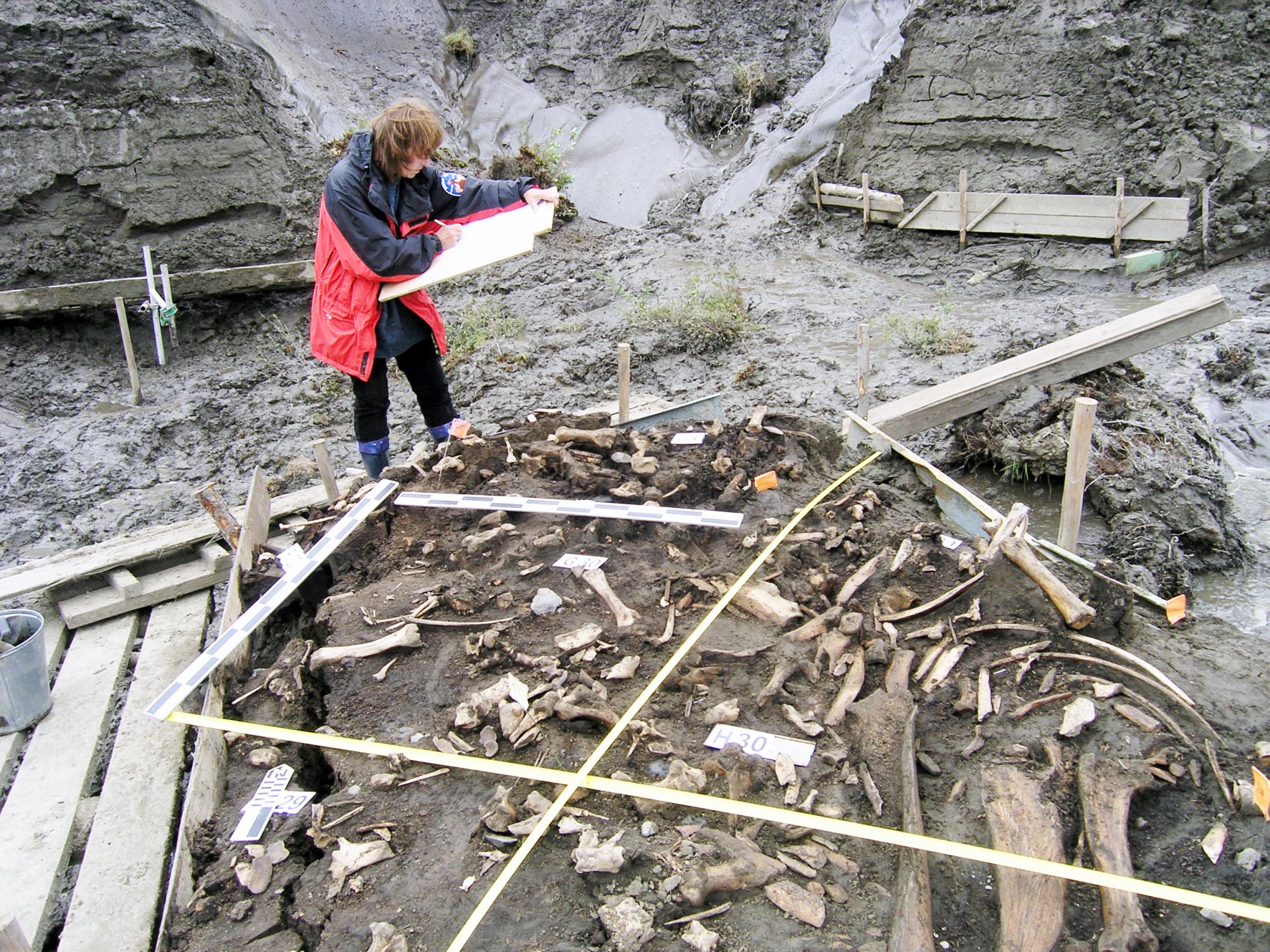 The site where the teeth were found (pictured) is near the Yana River in northern Russia