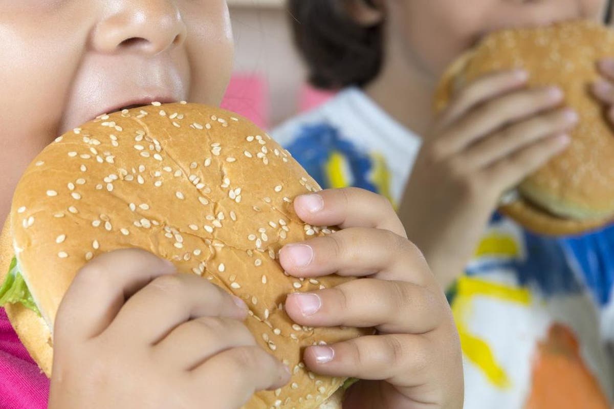 Junk food adverts from McDonald's, M&S and Asda banned after appearing on children's websites