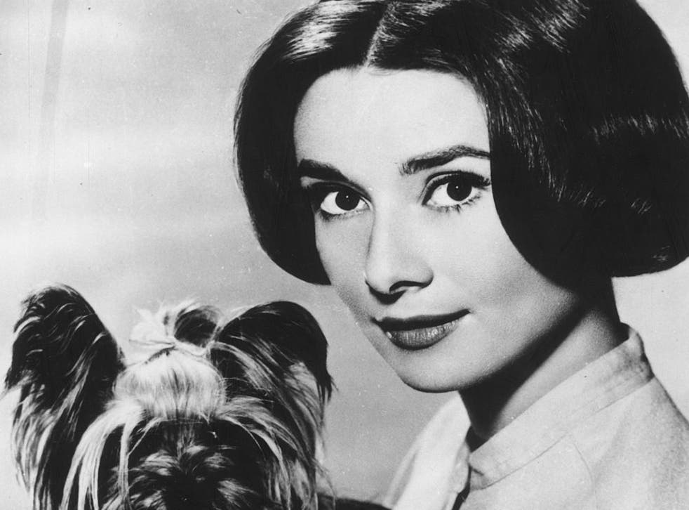 The film star with her pet Yorkshire terrier, Mr Famous, in 1959