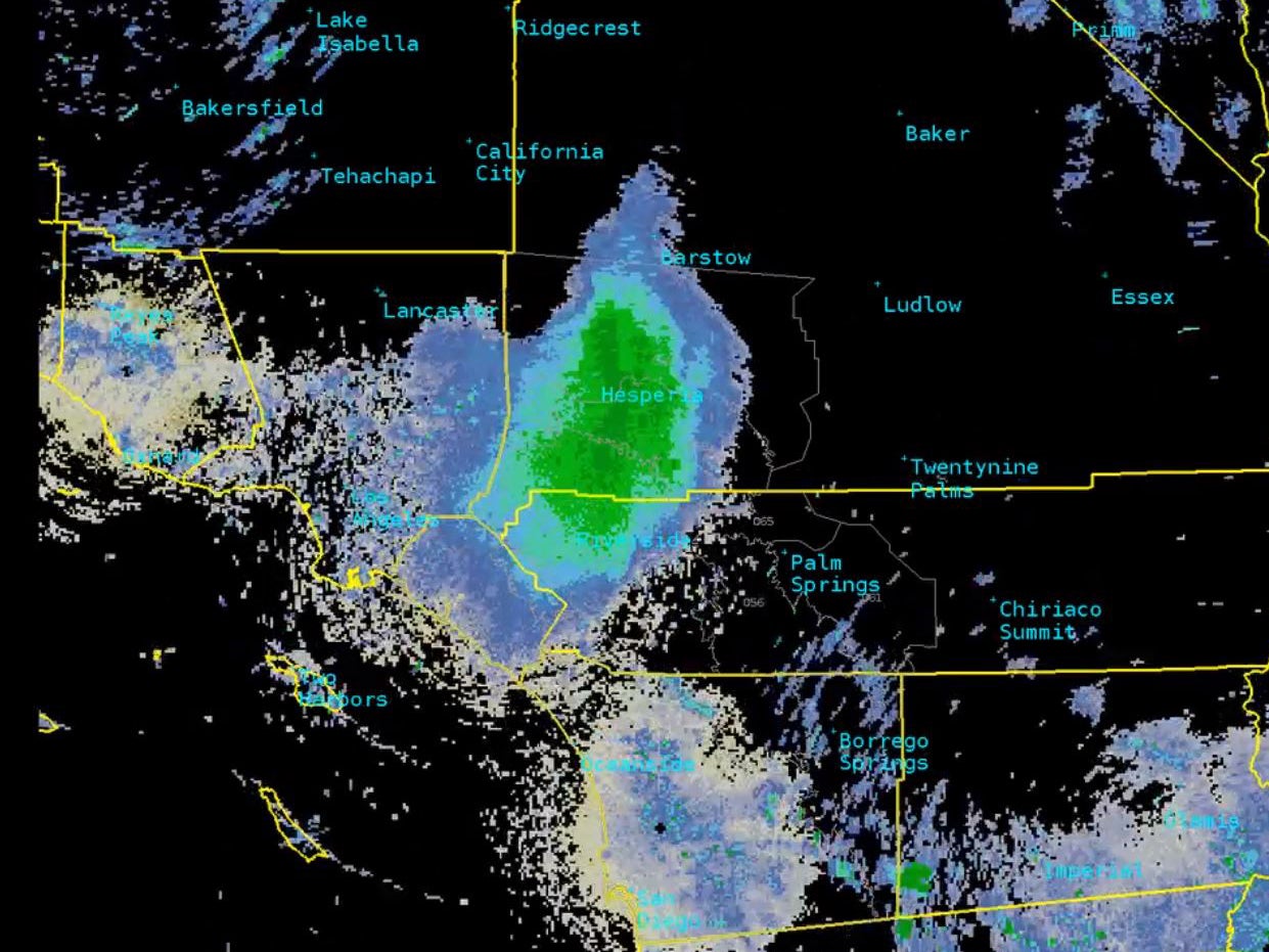 High-flying insects create a large echo on radar