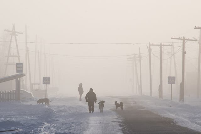 Yakutsk’s average temperature has risen from -10C to -7.5C in recent decades