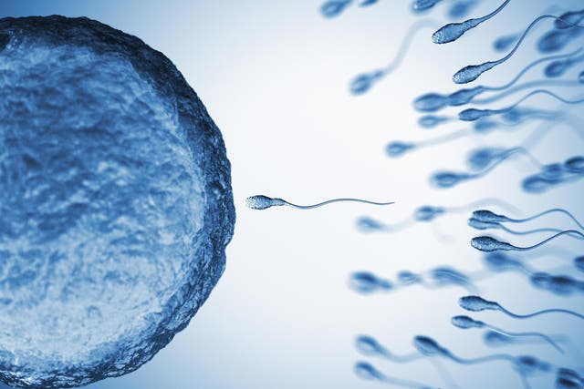 Researchers discover new way of analysing sperm (Stock)