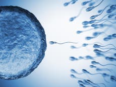 Scientists find way to distinguish male sperm from female