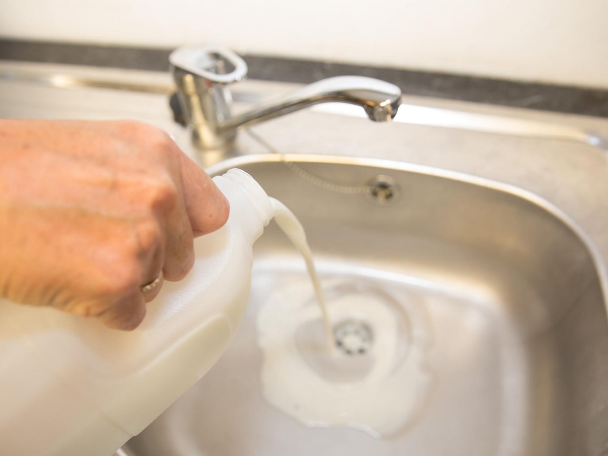 millions of adults happy to eat out of date food to stop waste survey claims the independent the independent