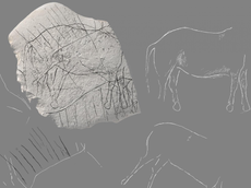 Prehistoric engraving of horse and extinct cattle found in France