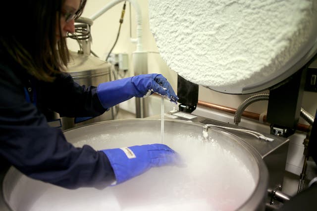 Sperm and embryo samples are monitored in Birmingham