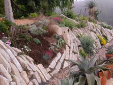 Crevice gardens help save the earth with natural style