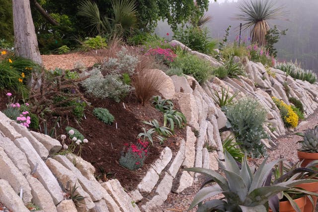 This garden is formed from 200 tons of recycled concrete, and allows the cultivation of rare plants
