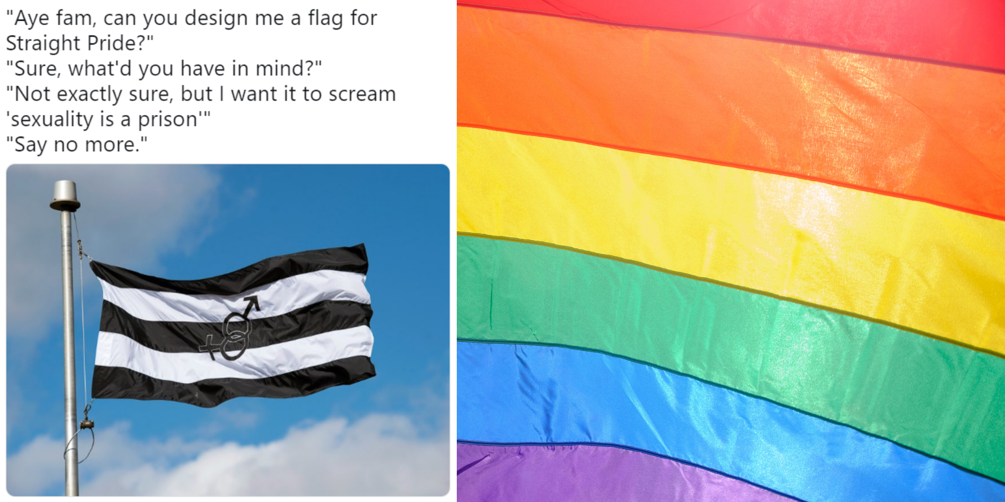 Wiping butt with gay pride flag meme
