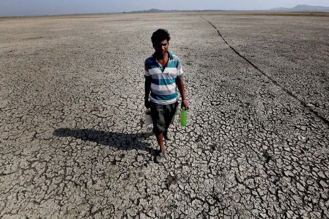 A man searching for drinking water walks on a dried-up portion of Asia's biggest lake, Upper Lake, after it shrunk during a heatwave in India.