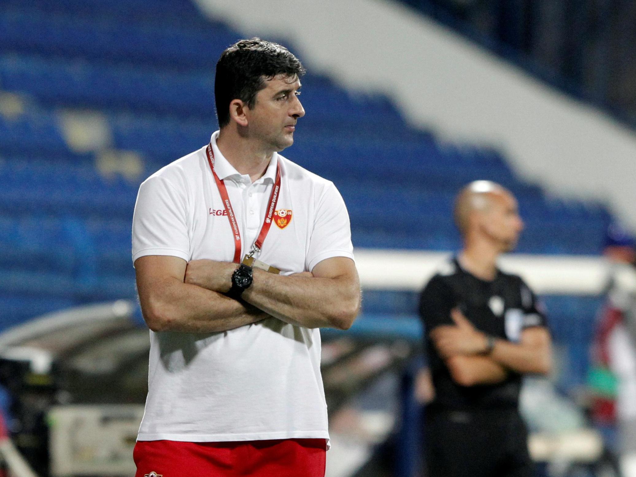 Ljubisa Tumbakovic has been sacked as Montenegro coach