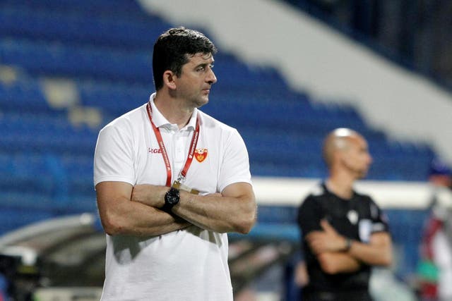 Ljubisa Tumbakovic has been sacked as Montenegro coach