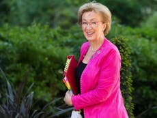 Andrea Leadsom wants to move on from Brexit. Bless
