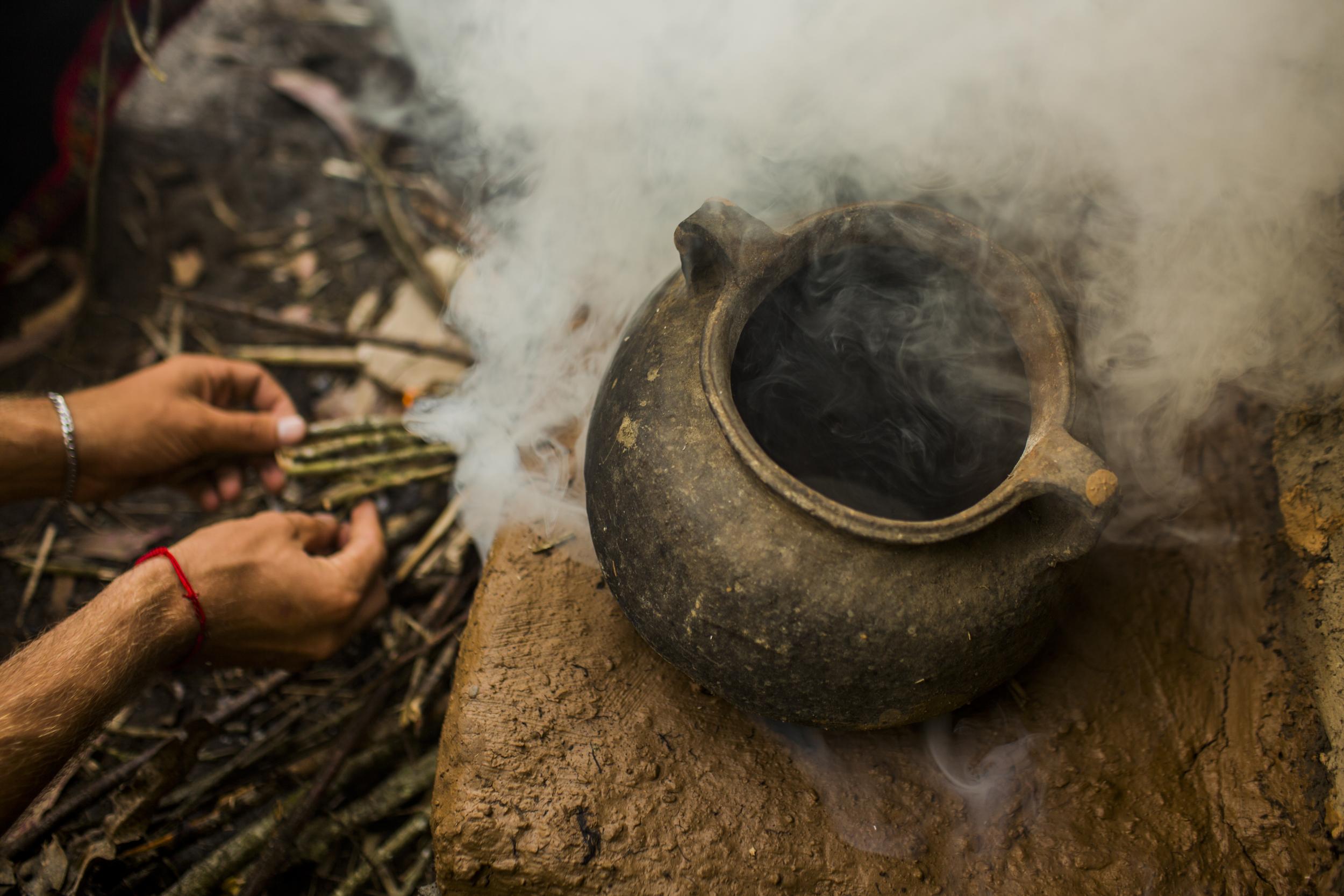 Coca leaf treatments hark back to Inca royalty