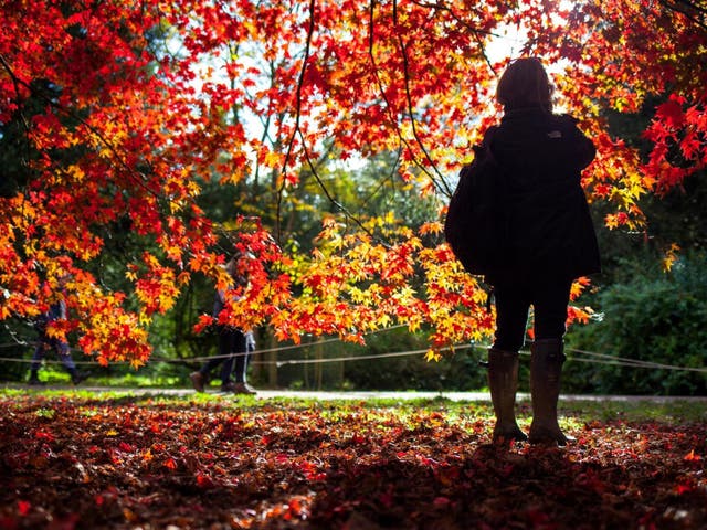 New research suggests women's work-life balance prohibits them from experiencing nature