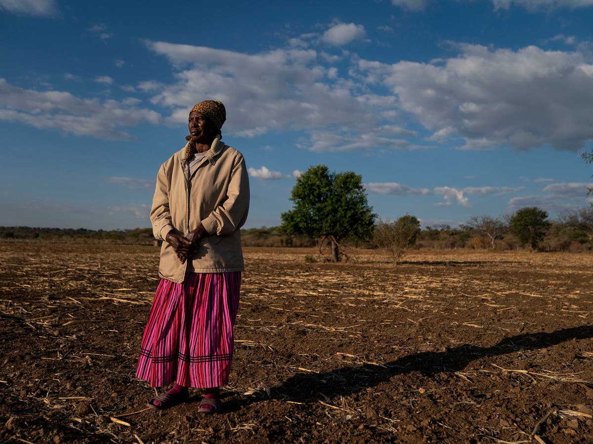 Once considered friendly giants, Botswana has a new relationship with elephants