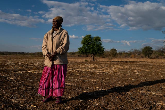 Lumba Nderiki is a farmer in her 80s. In 2014, after 65 years of marriage, her husband was killed by an elephant
