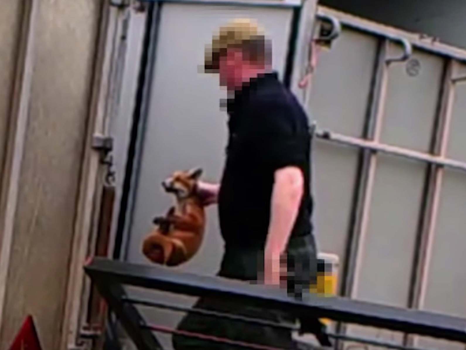 Fox hunter who fed live fox cubs to his dogs avoids ban on keeping animals and spared jail