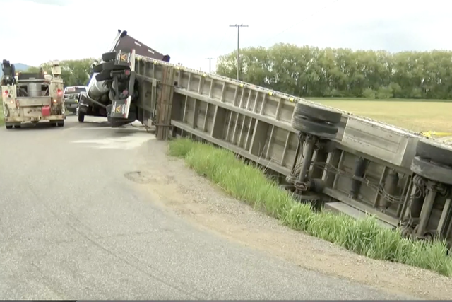 Semi truck carrying 133m bees overturns in Montana