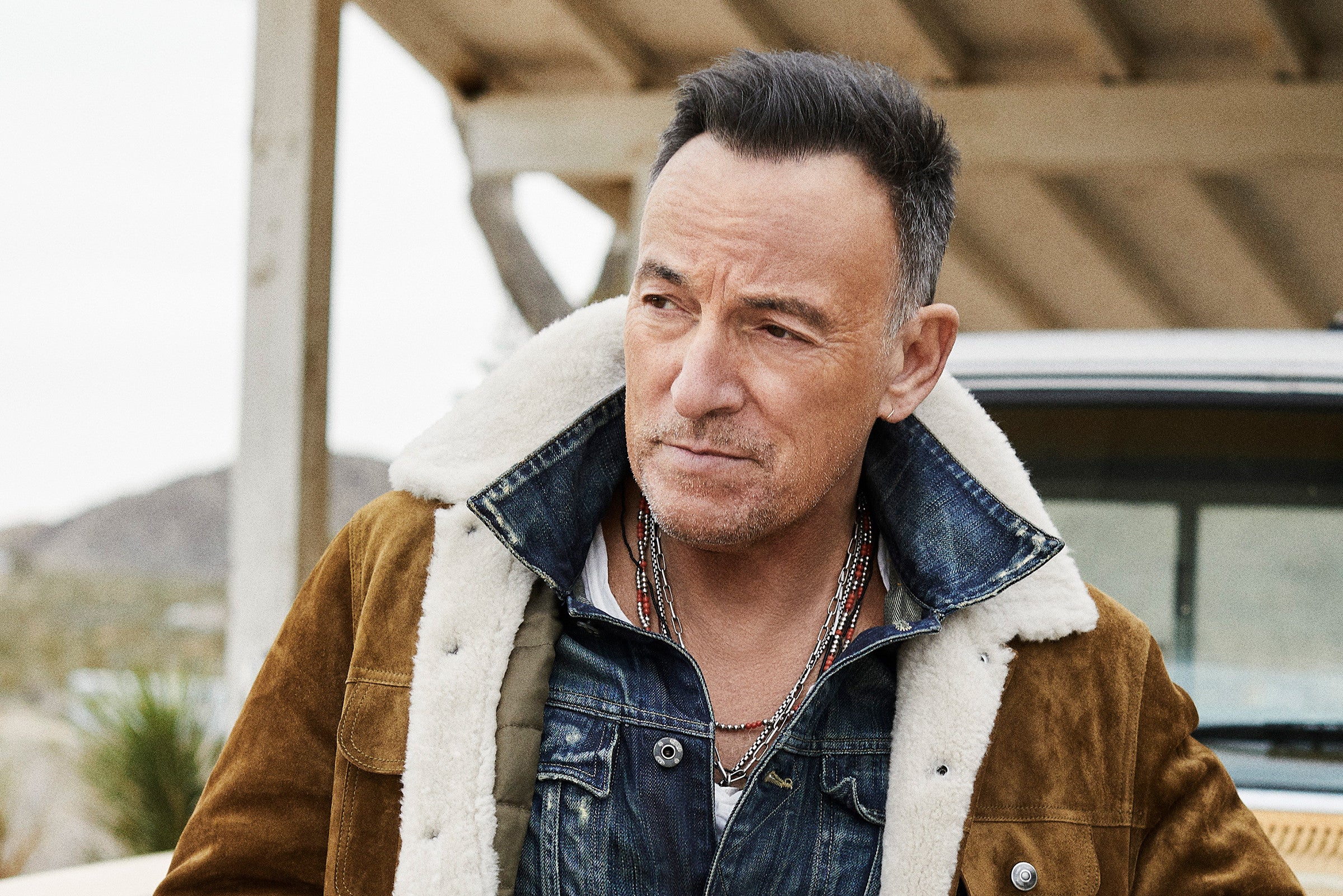 Bruce springsteen age