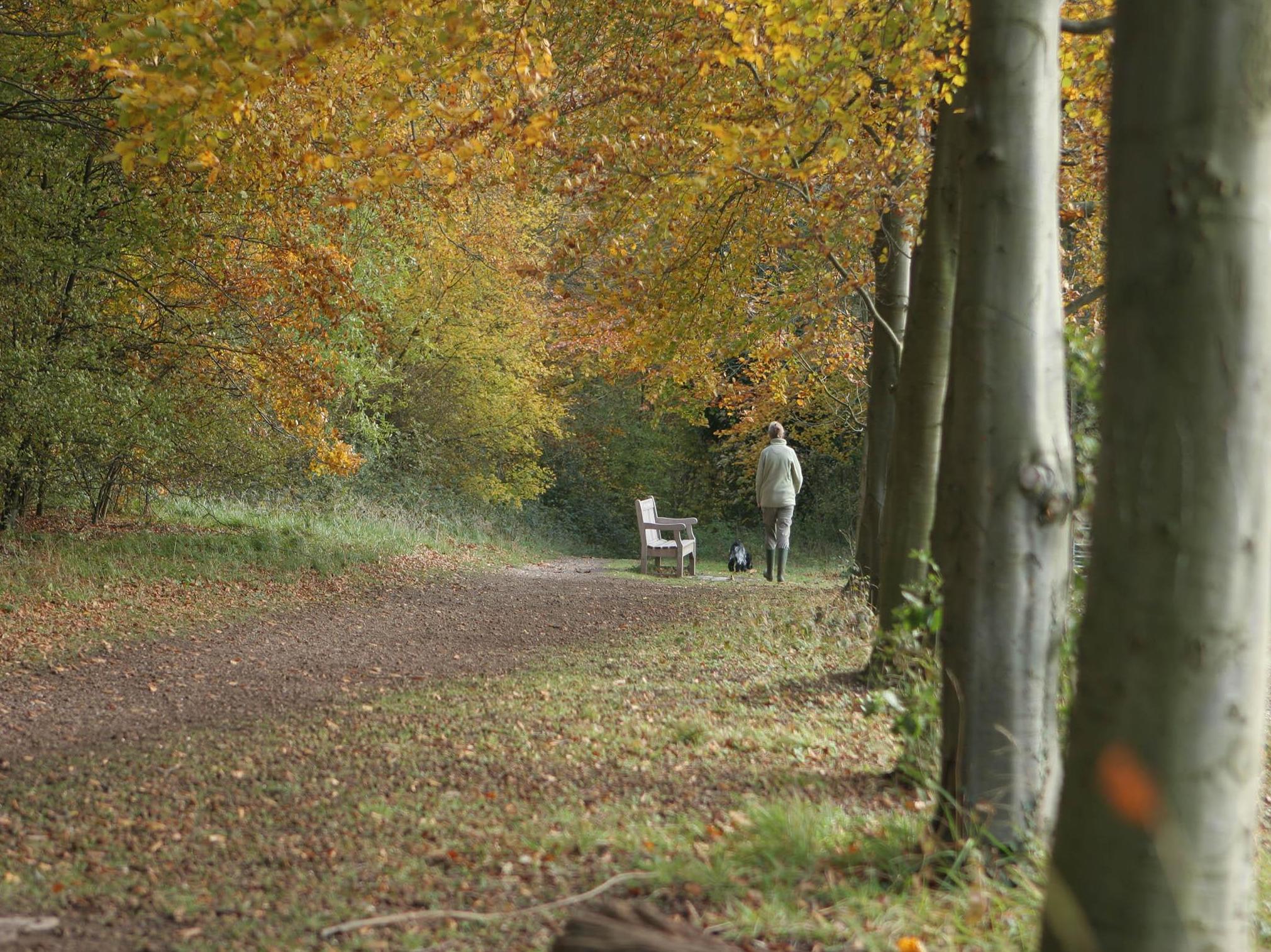 Wandlebury Country Park in Cambridge, where Will Gore had his internship